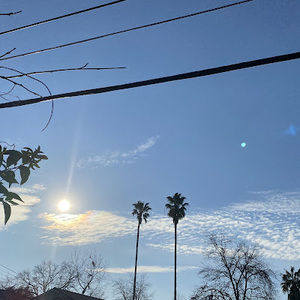 Meet your Posher, Adrianne